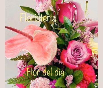 cestas – En Floristería Flor Del Día damos el mejor servicio. ¡Llámanos si  deseas obtener más información!